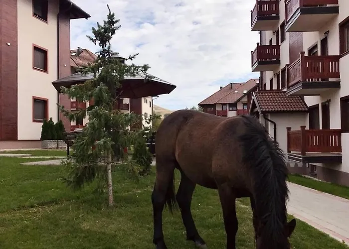 Jasmina 아파트 즐라티보